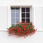 10 tendințe moderne în design-ul cu ancadramente al fațadei casei