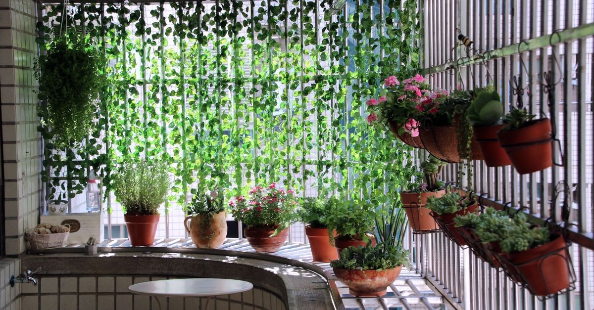 Balcon intim și verde: paravan DIY din plante — 7 idei ușoare pentru mai multă discreție