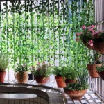 Balcon intim și verde: paravan DIY din plante — 7 idei ușoare pentru mai multă discreție