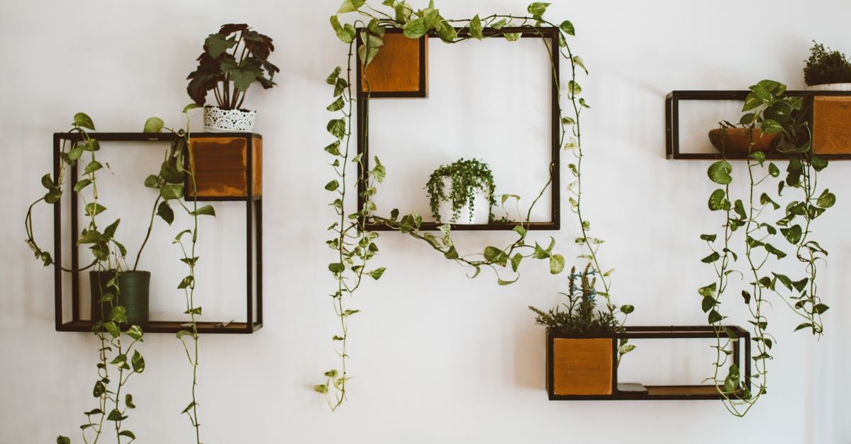 Junglă urbană, vibe industrial: suporturi de flori pentru un living loft ca-n reviste