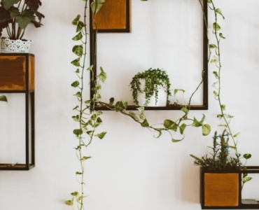 Junglă urbană, vibe industrial: suporturi de flori pentru un living loft ca-n reviste